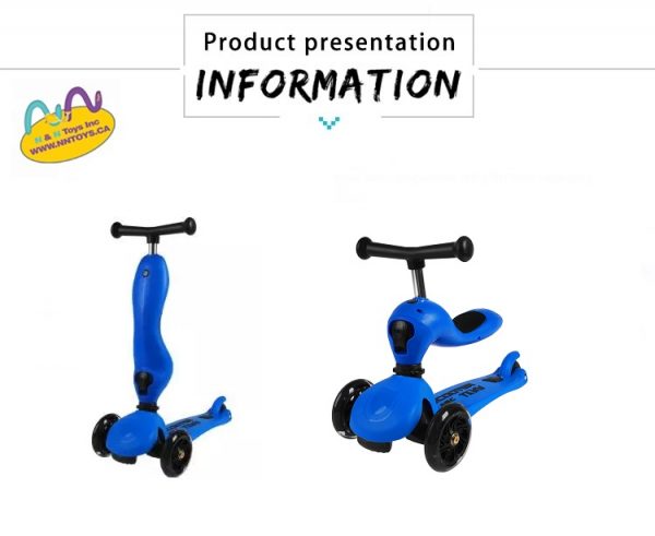 Professional Scooter 2 in 1