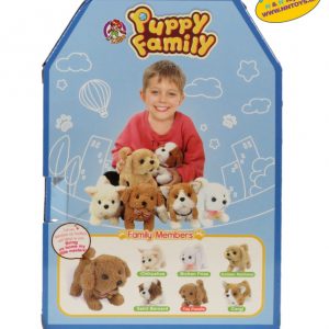 Puppy Family – Bichon Frise