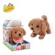 Puppy Family - Toy Poodle